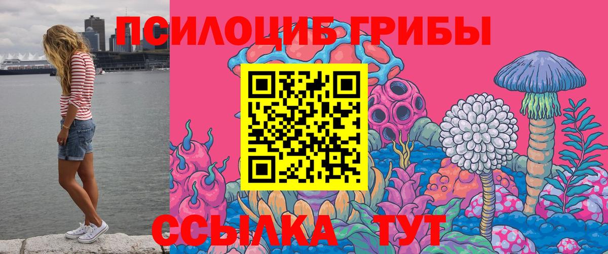 Галлюциногенные грибы MAGIC MUSHROOMS  Вход с VPN  Краснознаменск 
